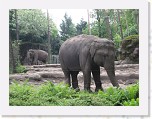 Dierentuin Burgers  Zoo 036 * 3648 x 2736 * (6.63MB)